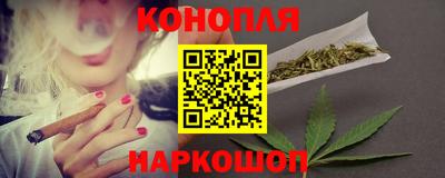 сатива Коммунар