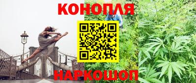 сатива Коммунар