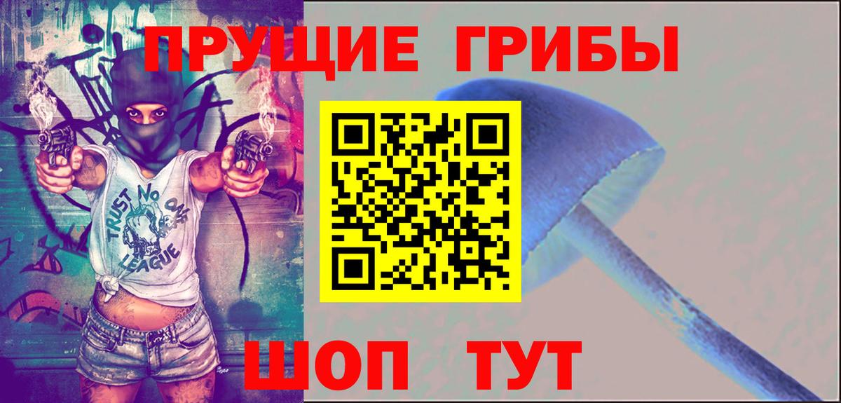 Галлюциногенные грибы Psilocybe Елизово