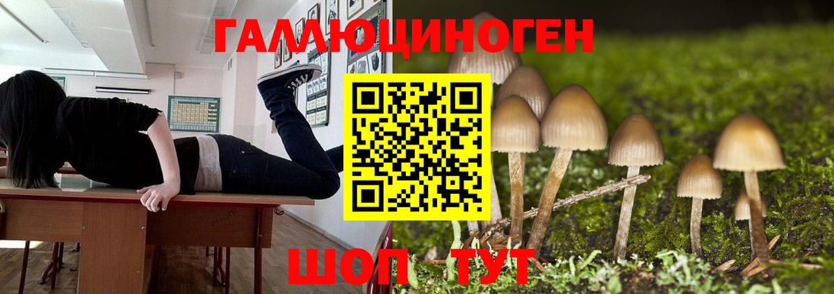 Псилоцибиновые грибы MAGIC MUSHROOMS  Вход с VPN  Елизово 